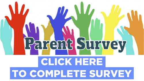 IMG_Parent-Survey